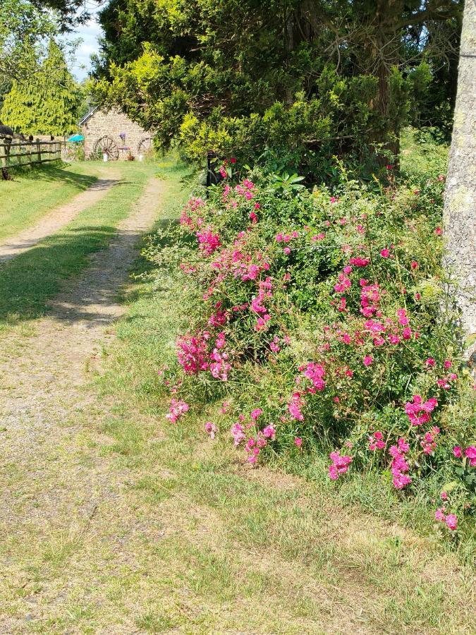 Les Petits Champs Leilighet Buais-les-Monts Eksteriør bilde